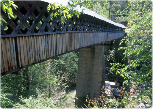 Ponte