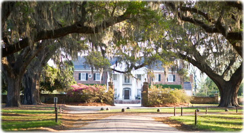 Plantation