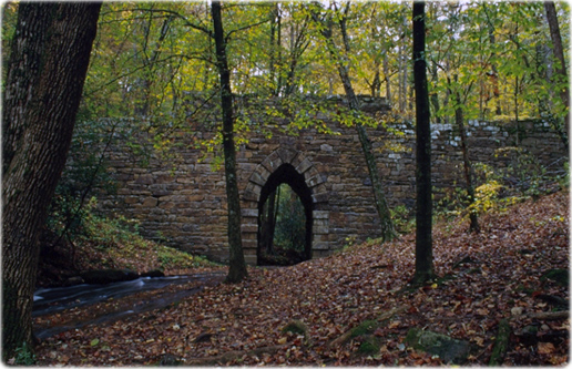 Ponte Poinsett