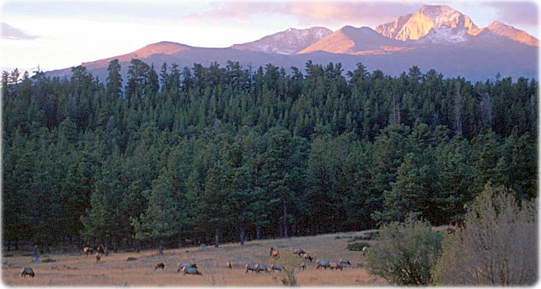 Rocky Mountain park