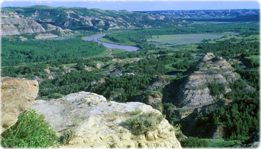 Parque