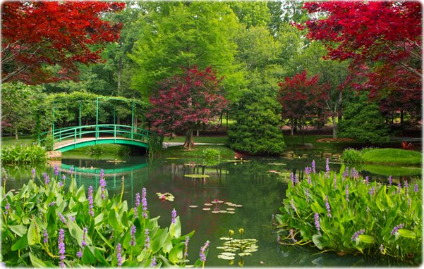 Jardim