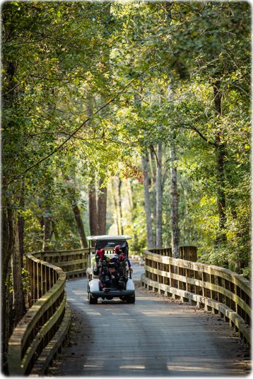Ponte Altamaha