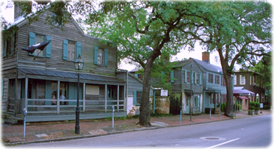 Savannah