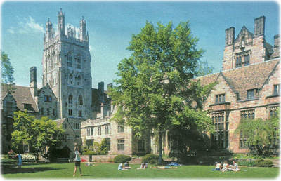 Yale University