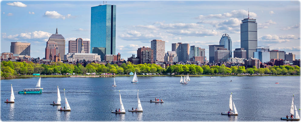 Boston orla