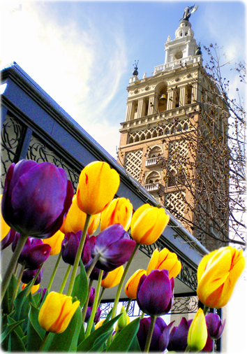Giralda Torre