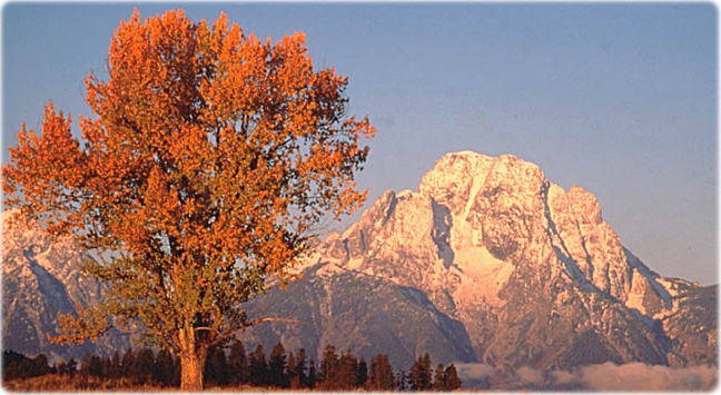 Mount Moran