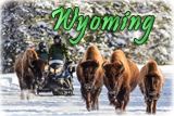 Wyoming